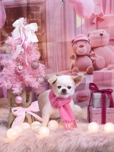 20241217風太くん